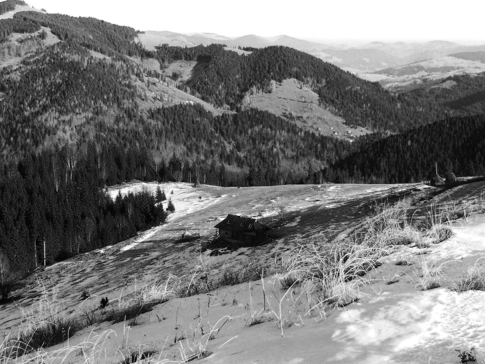 Photograph by Маргарита