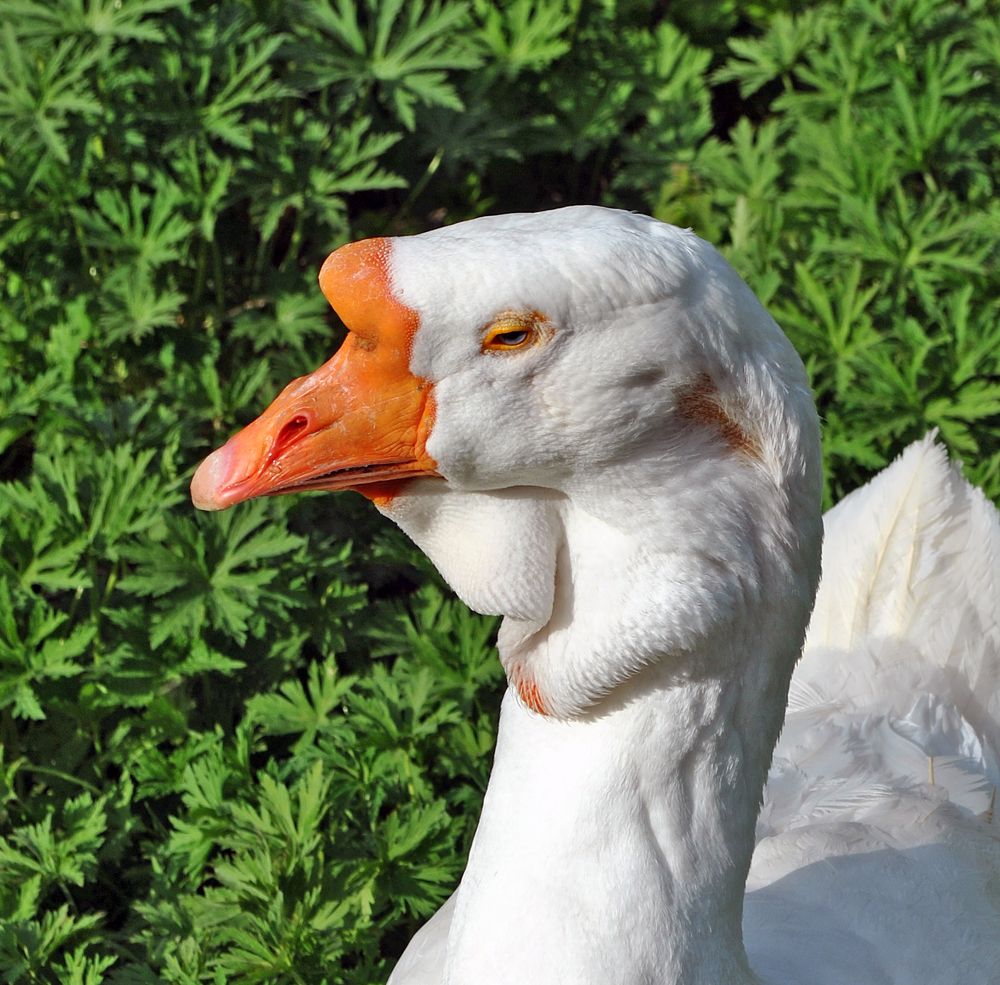 Photograph by Алексей