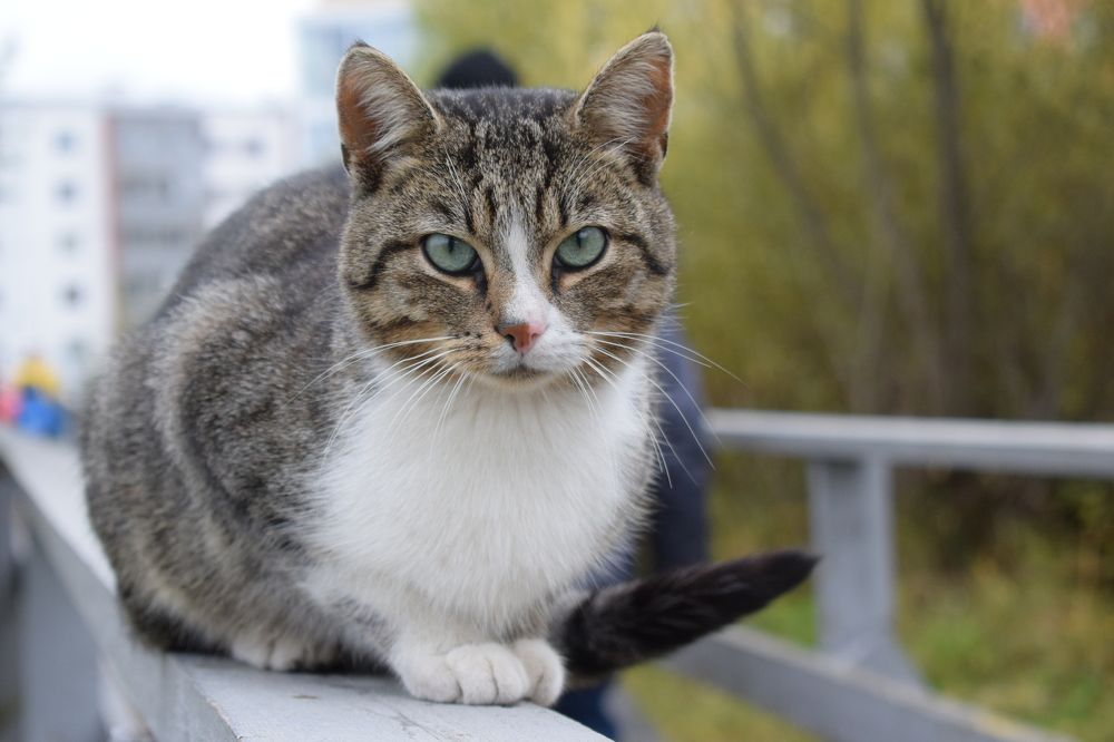 Photograph by Танзиля Завьялова