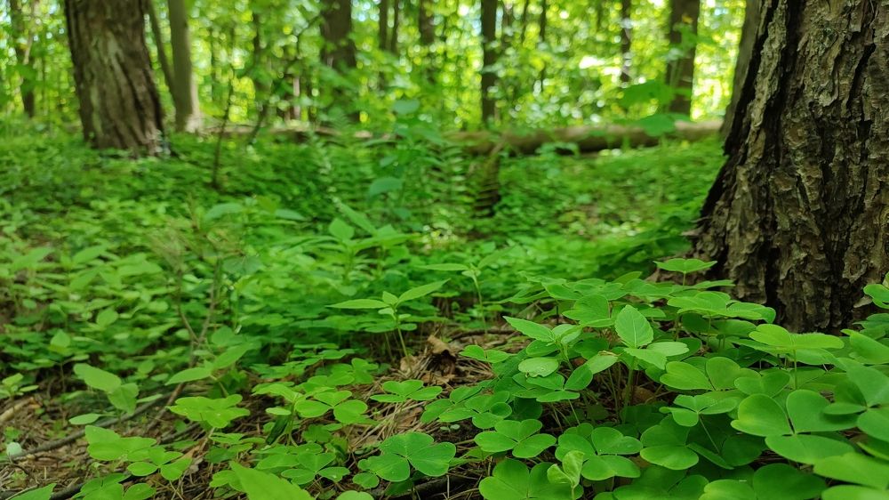 Photograph by Татьяна Сурова