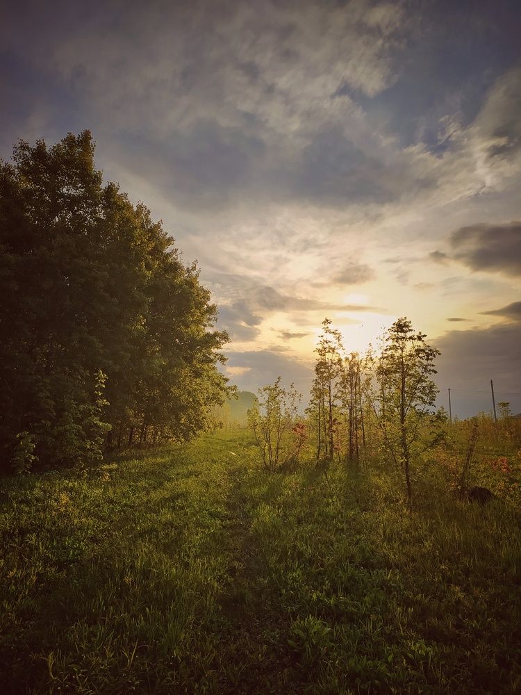 Photograph by Геннадий Глазнев