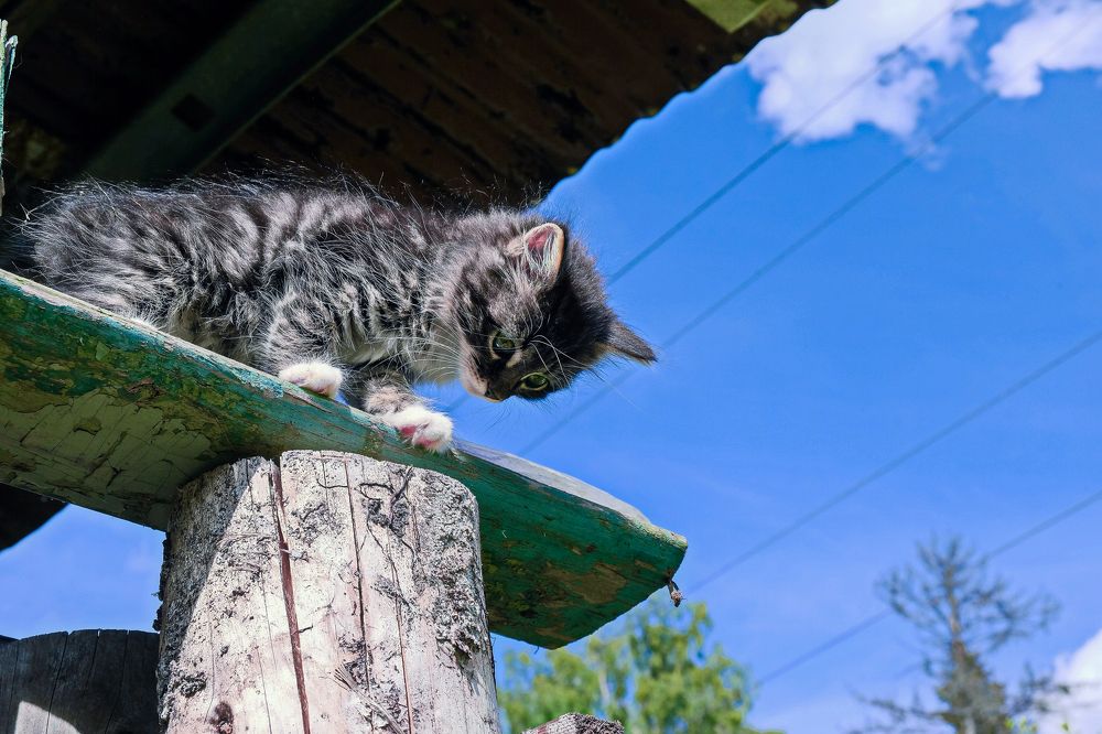 Photograph by Алексей Пышненко