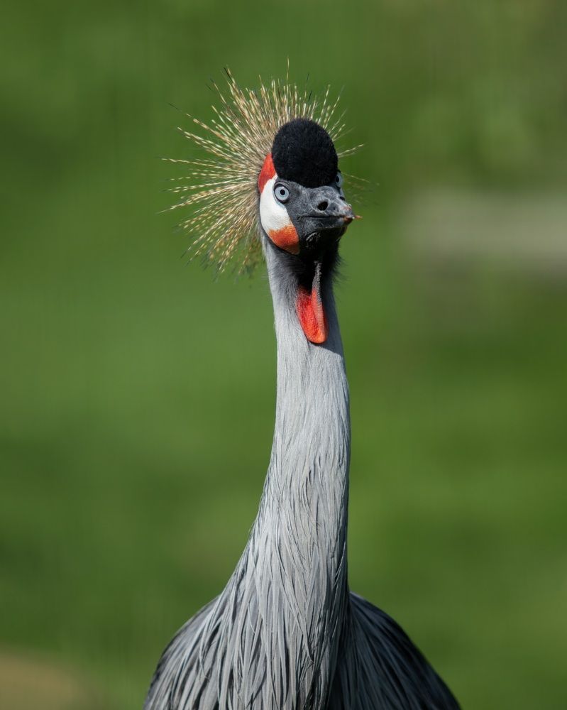 Photograph by Николай Шарлай