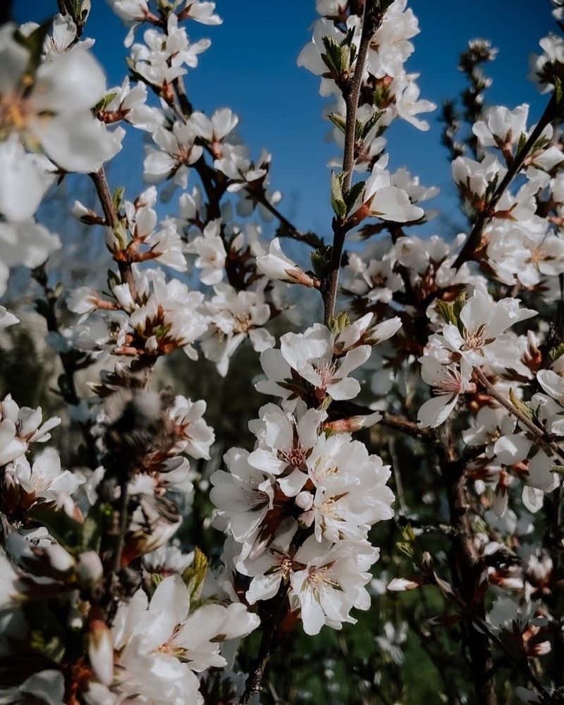 Photograph by Анна Леонова