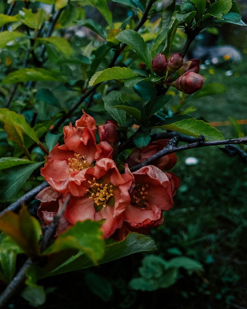 Photograph by Анна Леонова