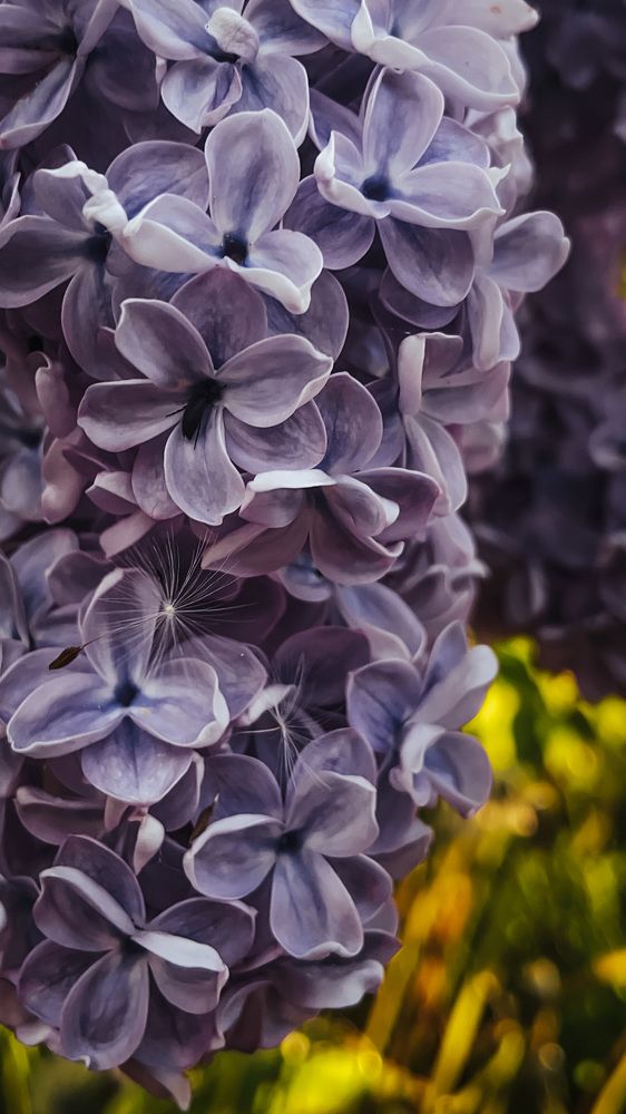 Photograph by Анна Леонова