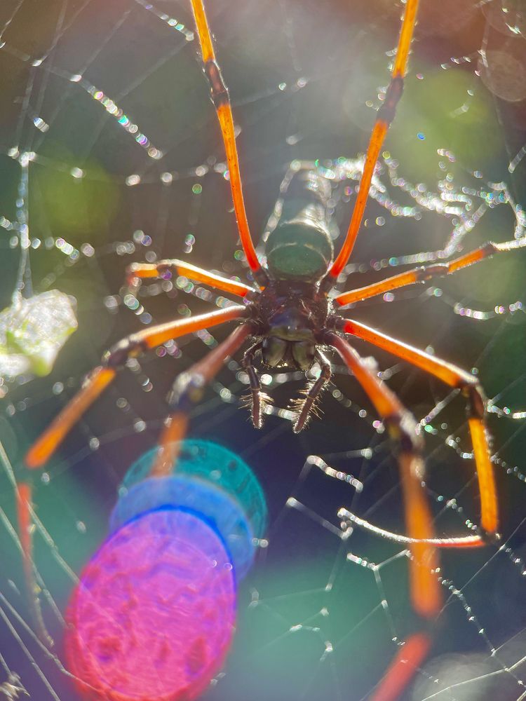 Photograph by Ahmad Raquib