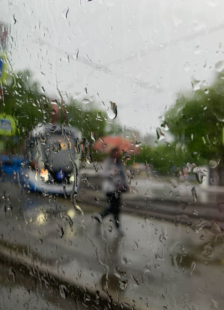 Город в дожде…