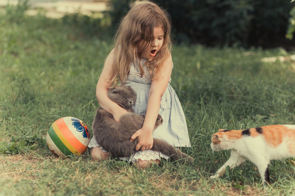 Что ты пристаешь к моему котику?