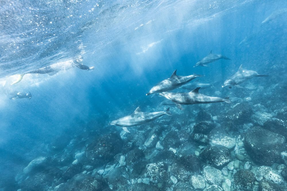 Photograph by 赤坂亜玖良