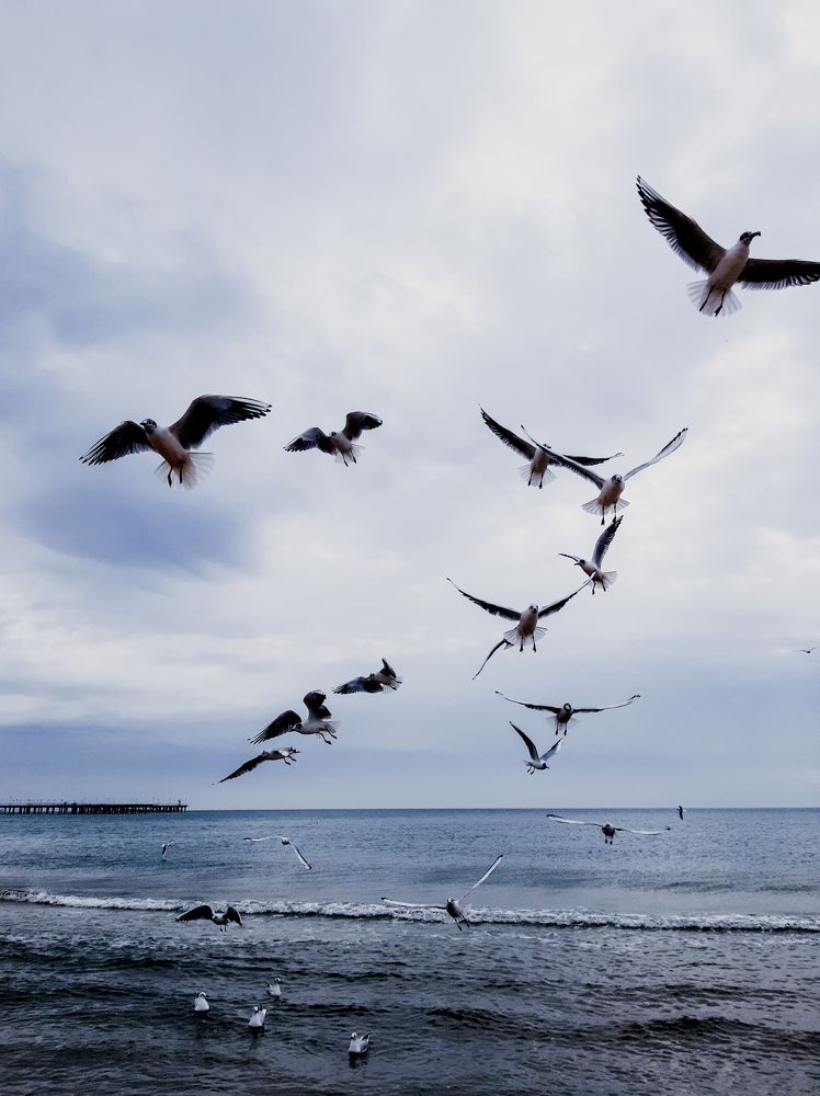 Photograph by Olga Smirnova