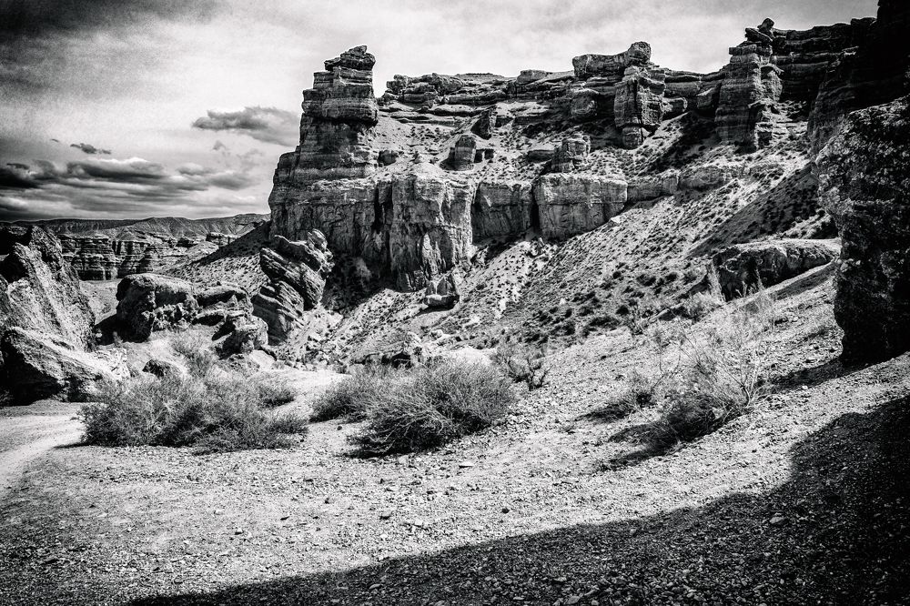 Photograph by Алексей Пышненко