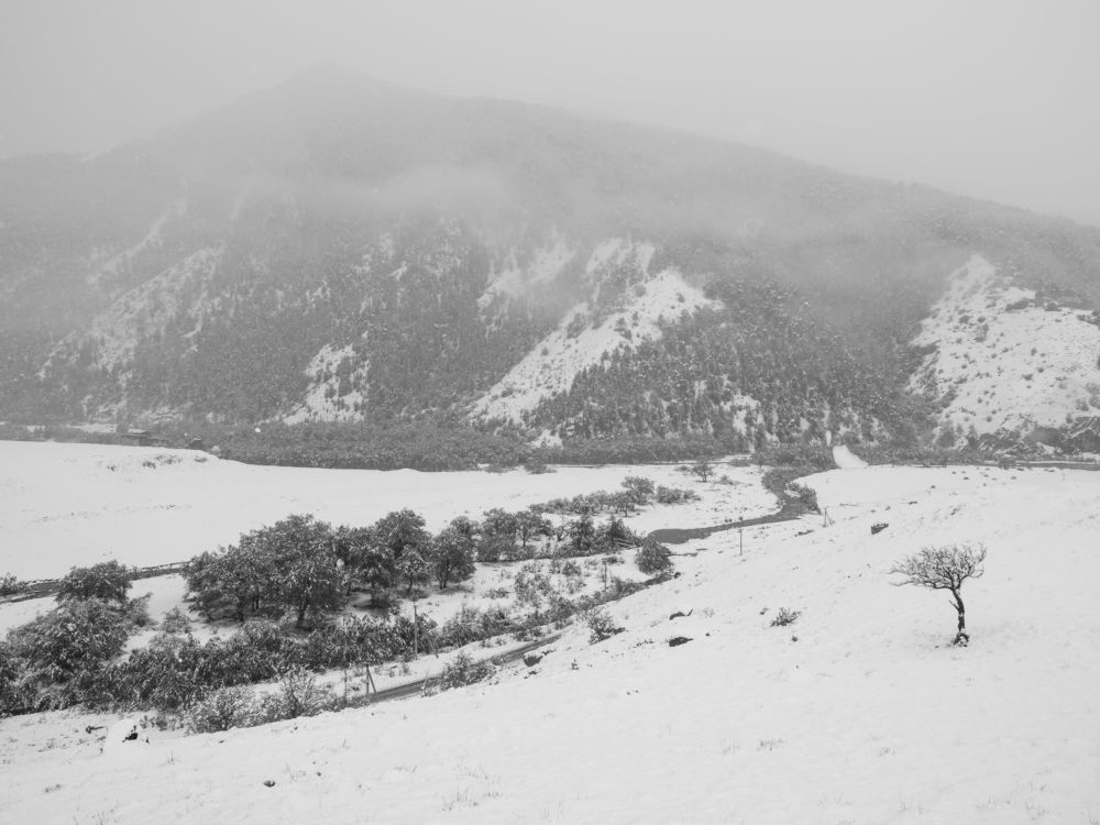 Photograph by Anatoly Serebrennikov