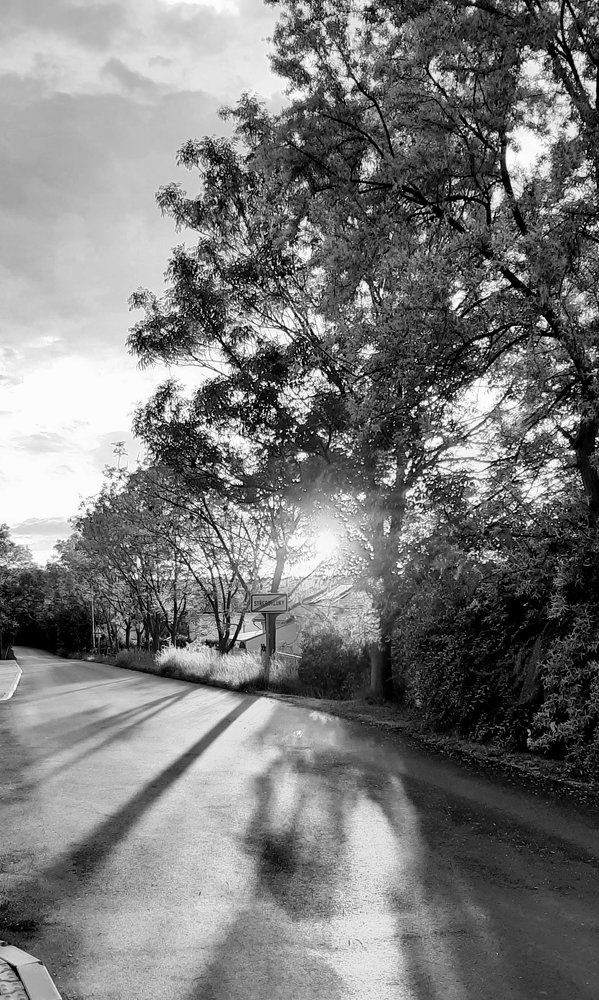 Photograph by Arkadij Frejdlin