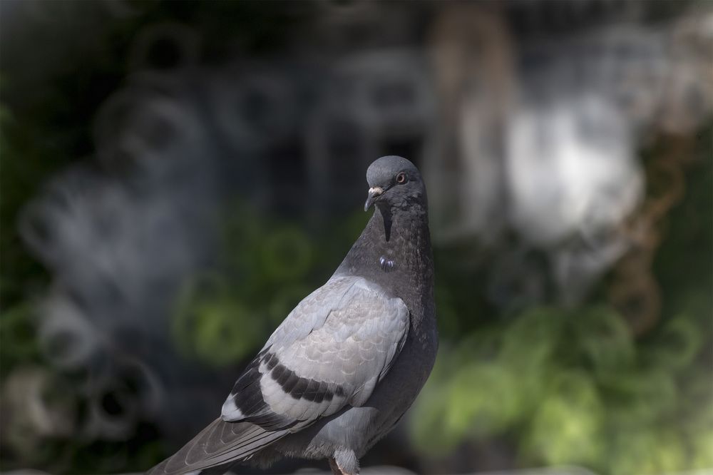 Photograph by Кузнецов Александр