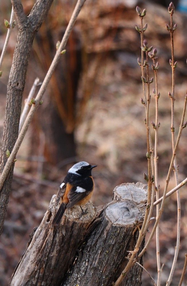 Photograph by Александра Безродная