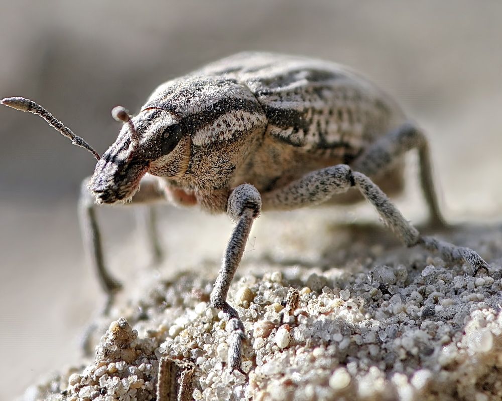 Photograph by Дмитрий Кузнецов