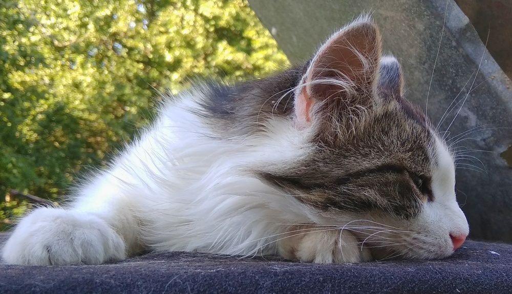 Photograph by Мария Голубева