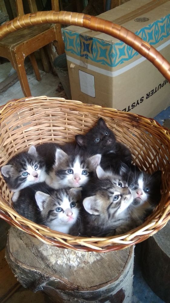 Photograph by Мария Голубева