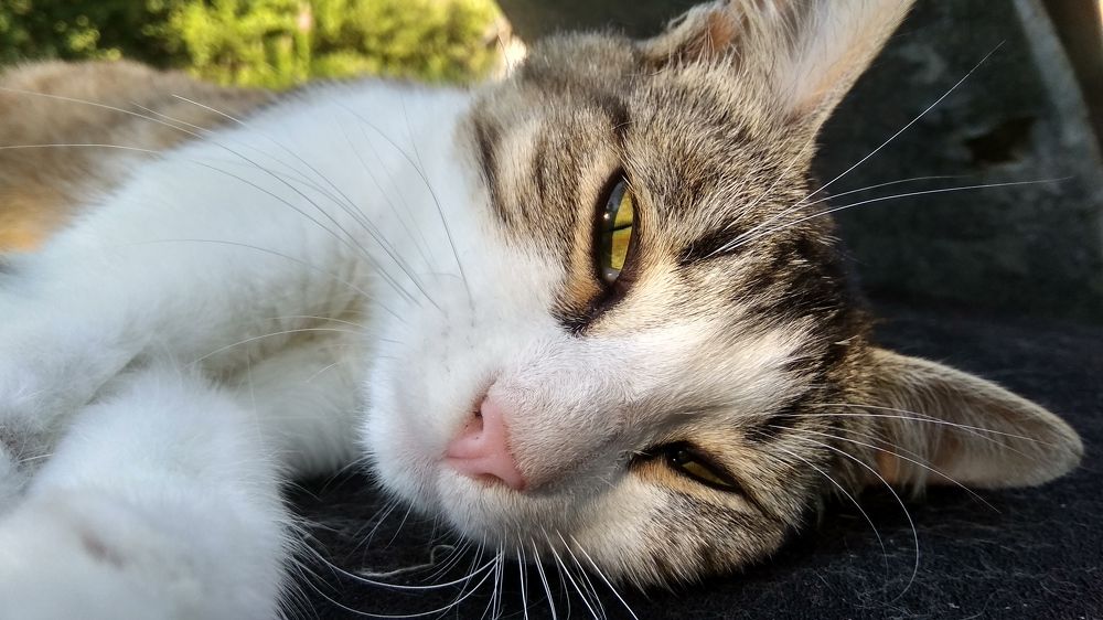 Photograph by Мария Голубева