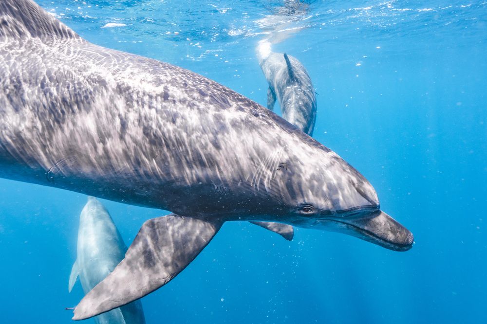 Photograph by 赤坂亜玖良