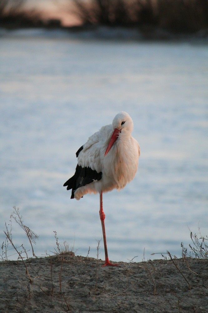 Photograph by Марина Иванникова