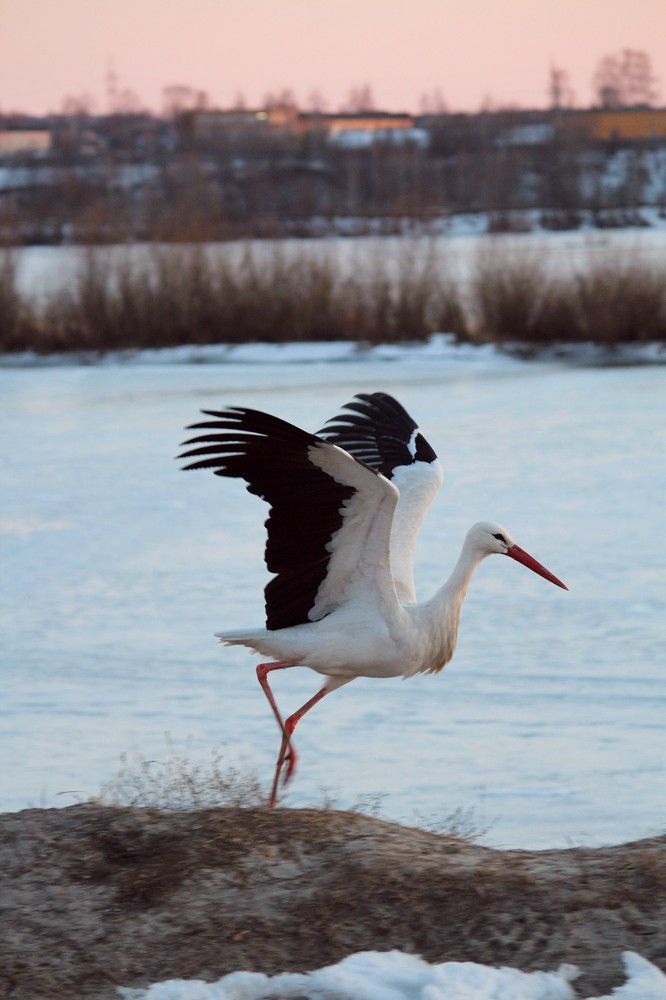 Photograph by Марина Иванникова