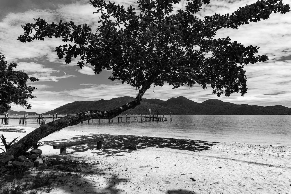 Photograph by Игорь Окунев