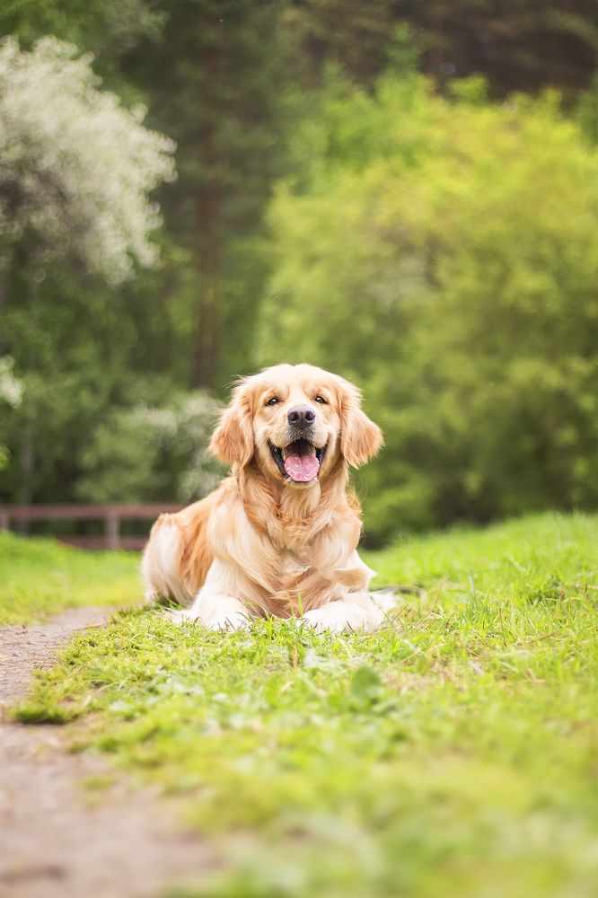 Фотография автора Екатерина Атавина