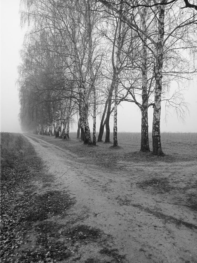 Photograph by Александр Alexander Zheleztsov