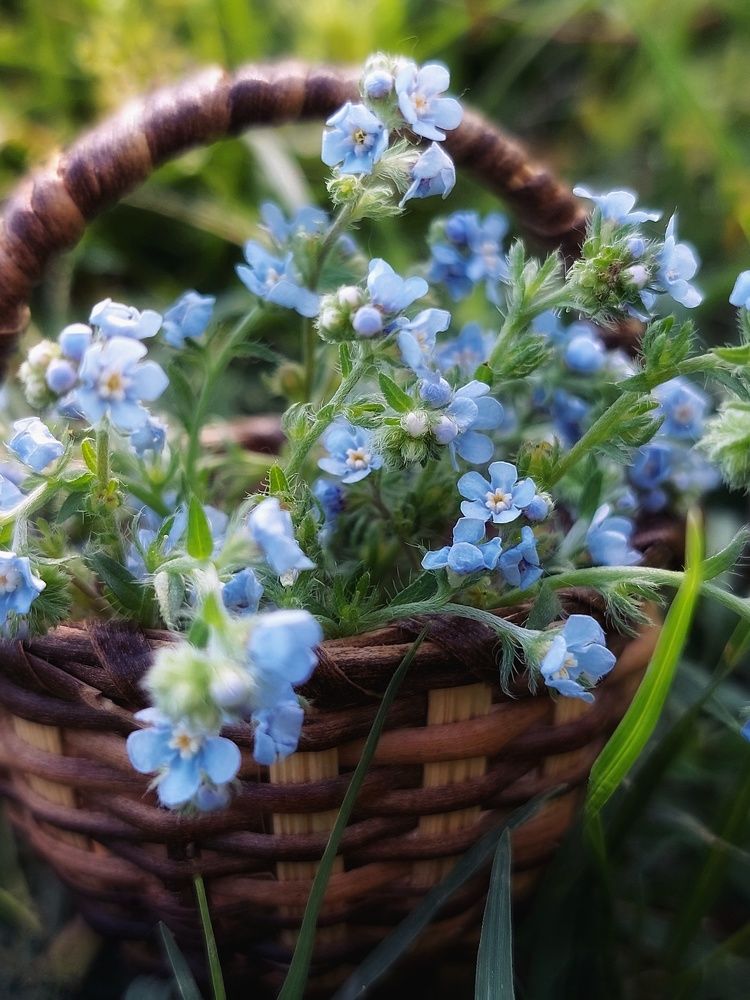 Photograph by Анна Чичилова