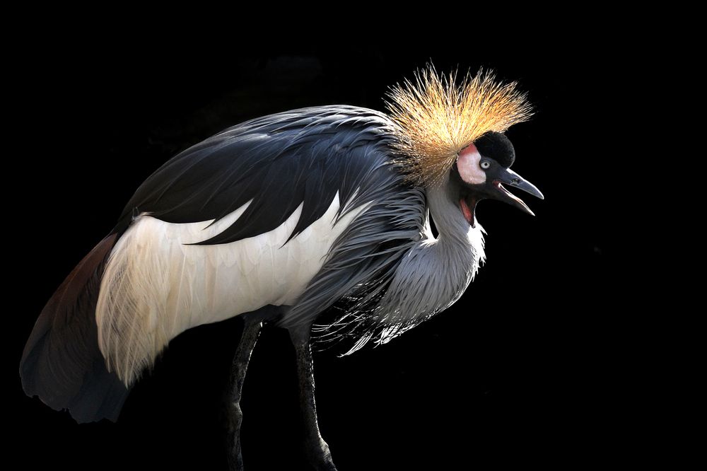 Photograph by Варвара Штерн