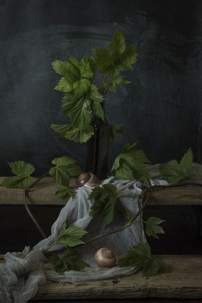 Фотография автора Вихрова Юлия