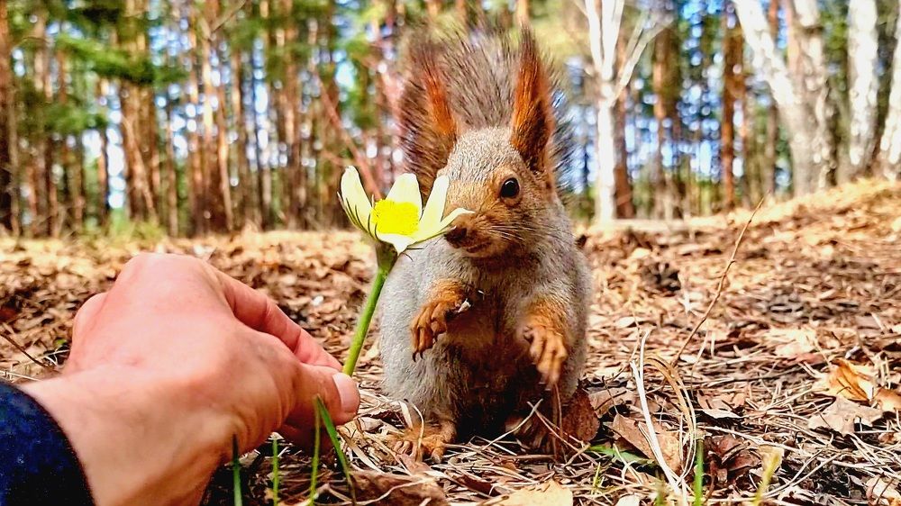 Photograph by Александр