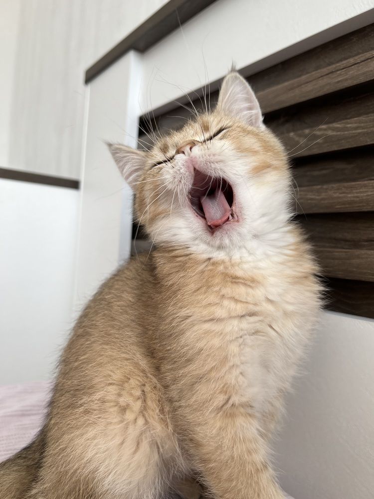 Photograph by Маргарита