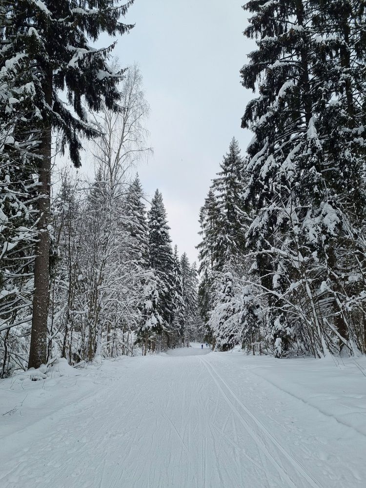 Photograph by Наталья Золотарева