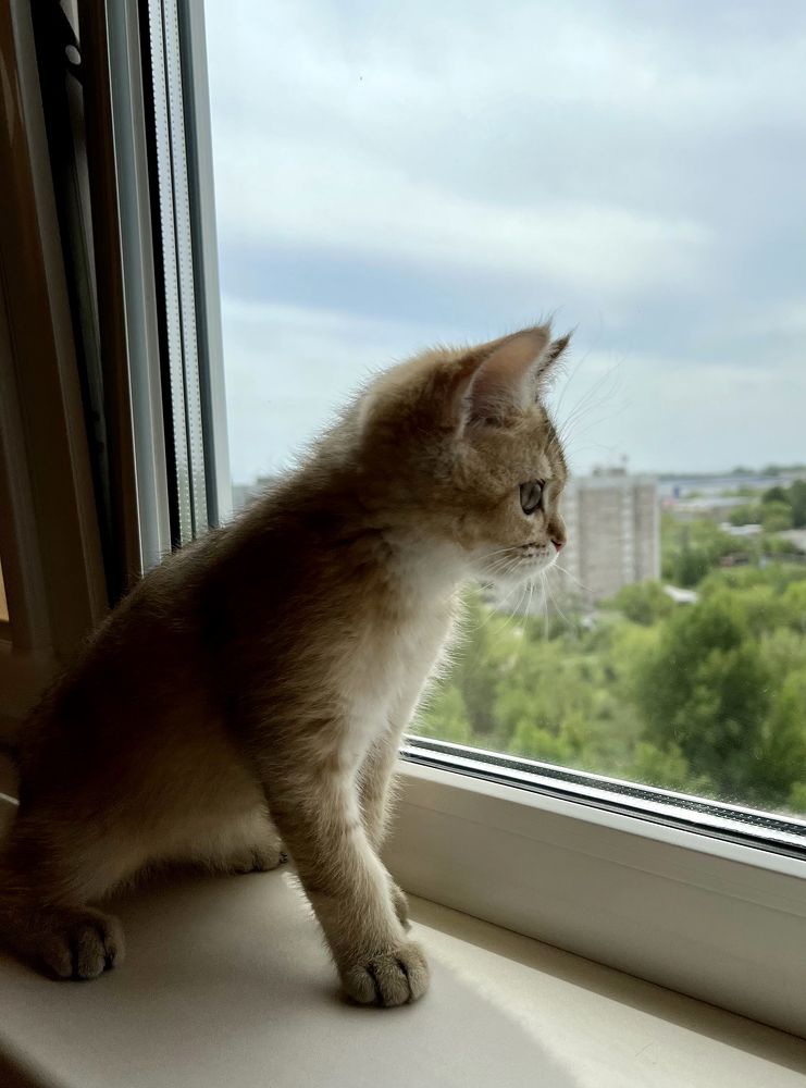 Photograph by Маргарита