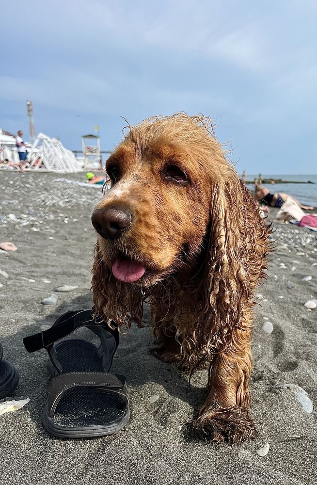 Photograph by Екатерина Чернышова