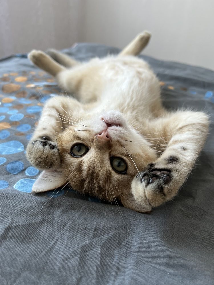 Photograph by Маргарита Миллер