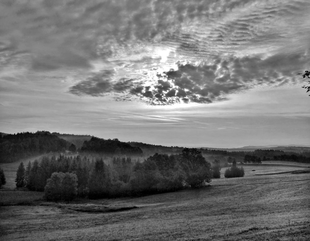 Photograph by Eva Wiedemann