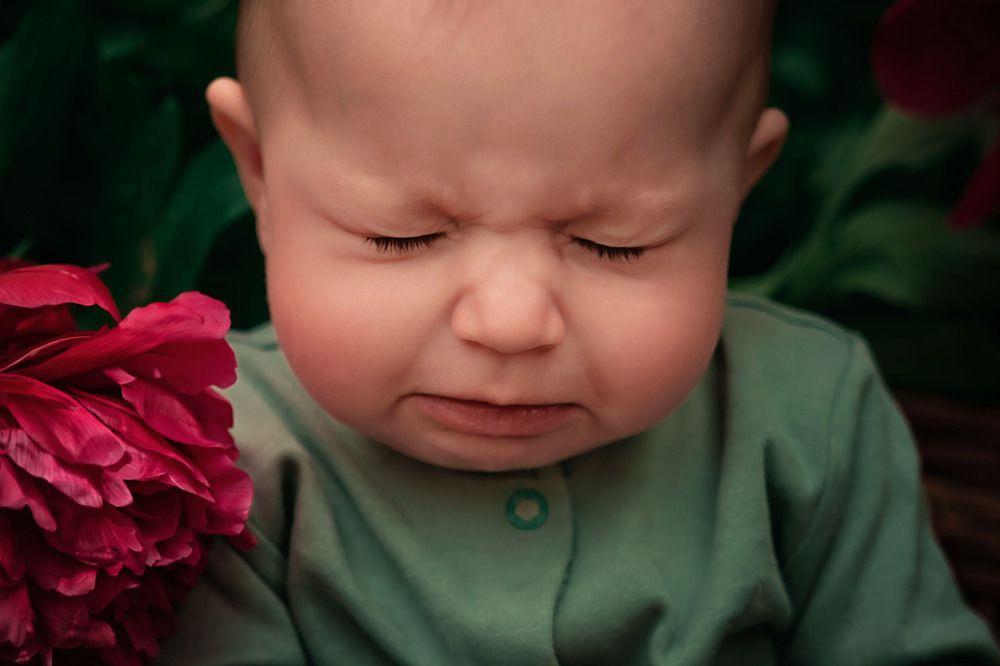 Photograph by Анастасия Большуткина