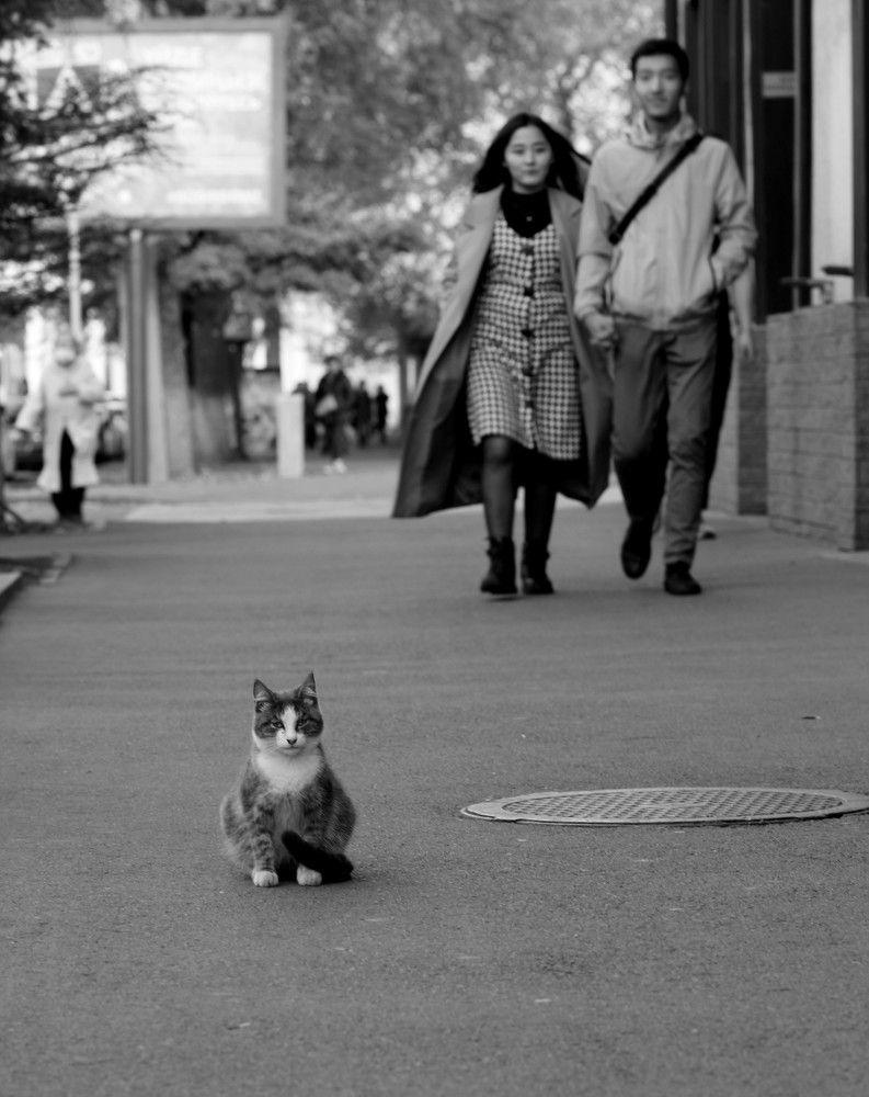 Photograph by Татьяна Леонтьева