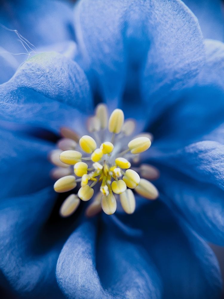 Photograph by Алсу Исмагилова