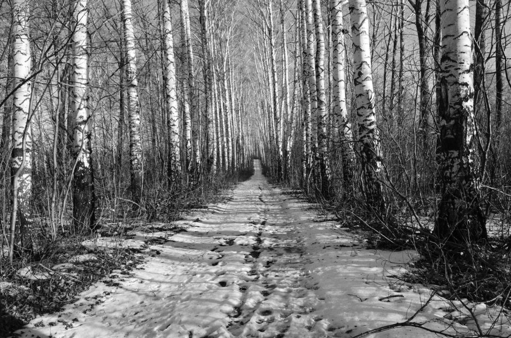 Photograph by Igor Kochkin