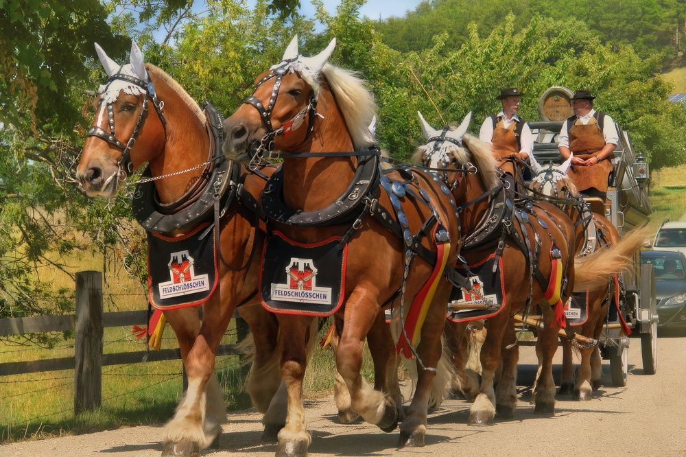 Photograph by Elena Wymann