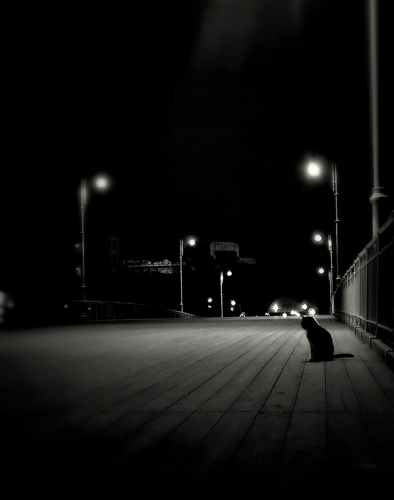 Photograph by Маслов Вадим