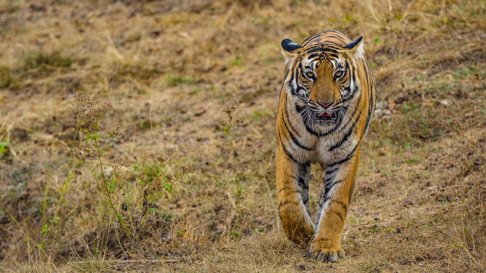 Photograph by Venkat Mangudi