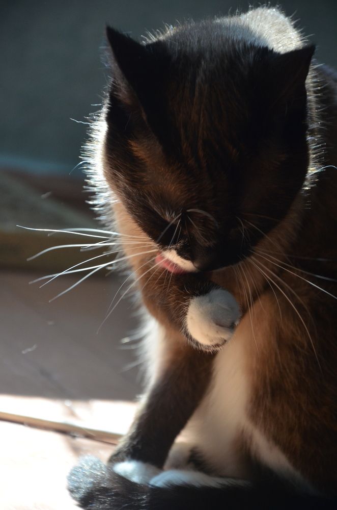 Photograph by Valentina