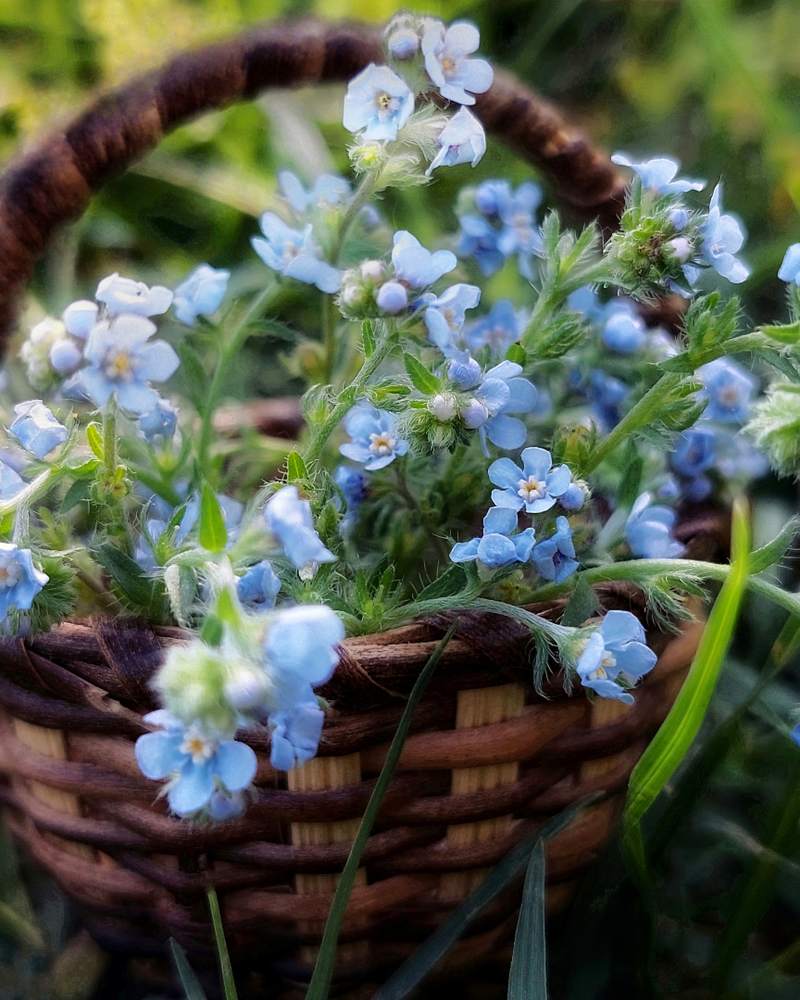 Photograph by Анна Чичилова