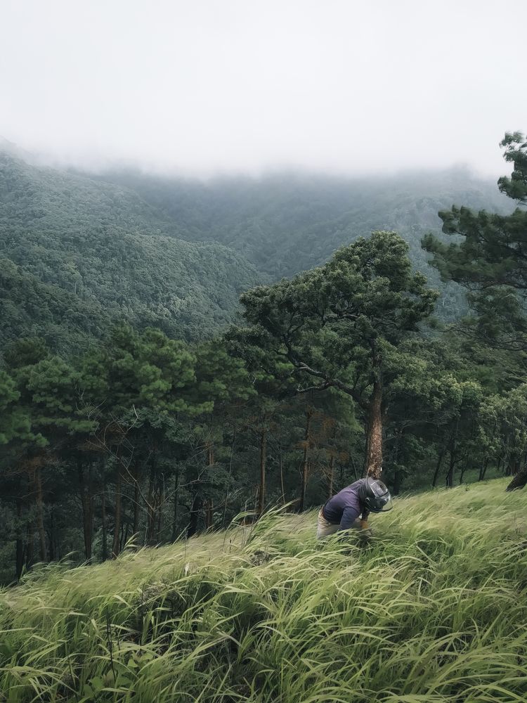 Photograph by E N I G M A